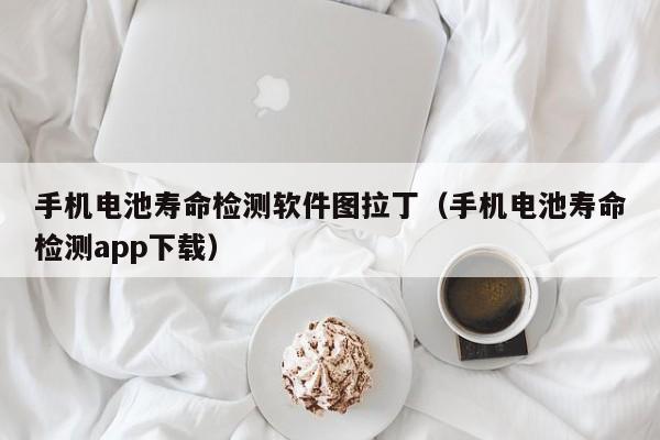 手机电池寿命检测软件图拉丁（手机电池寿命检测app下载）  第1张