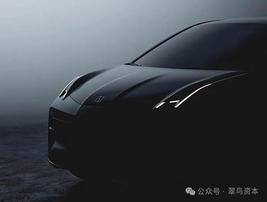 极氪上市仅一年就被私有化，吉利在下一盘什么棋？  第1张