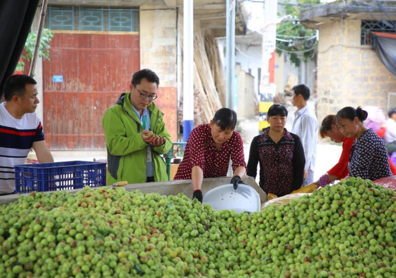 在安徽芜湖，这家企业靠卖青梅的公司溜溜梅冲击IPO  第3张