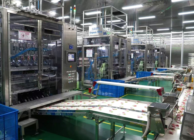 在安徽芜湖，这家企业靠卖青梅的公司溜溜梅冲击IPO  第4张