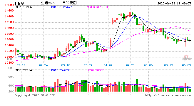 白条猪肉:供应压力依旧 短期河南猪肉价格或偏弱调整 第2张 白条猪肉:供应压力依旧 短期河南猪肉价格或偏弱调整 第2张