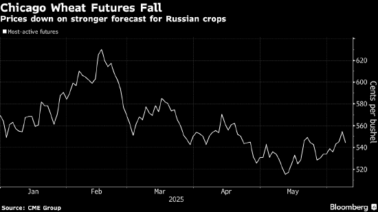 小麦价格从七周高点回落 受俄罗斯小麦产量前景影响 第1张 小麦价格从七周高点回落 受俄罗斯小麦产量前景影响 第1张