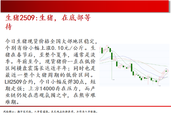 中天期货:棕榈大涨的高位调整 尿素继续大涨  第4张