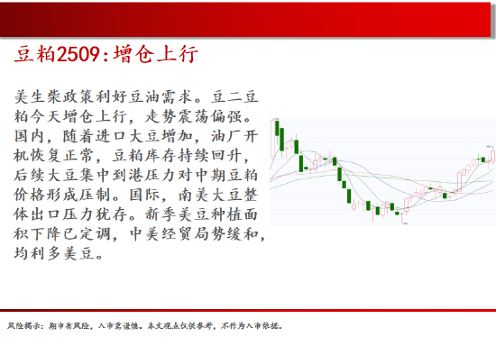 中天期货:棕榈大涨的高位调整 尿素继续大涨  第9张