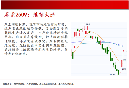 中天期货:棕榈大涨的高位调整 尿素继续大涨  第15张