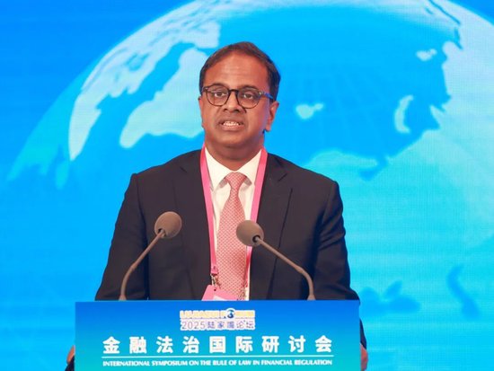 2025陆家嘴论坛“金融法治国际研讨会”举行 聚焦金融开放合作中的国际法治实践与展望  第8张
