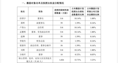 连亏之下，小崧股份五折股权激励藏“猫腻”，上演“消失”的临时议案  第2张