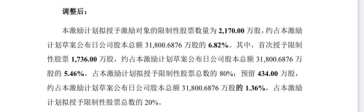 连亏之下，小崧股份五折股权激励藏“猫腻”，上演“消失”的临时议案  第4张