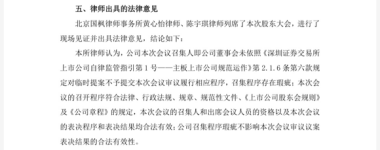 连亏之下，小崧股份五折股权激励藏“猫腻”，上演“消失”的临时议案  第6张