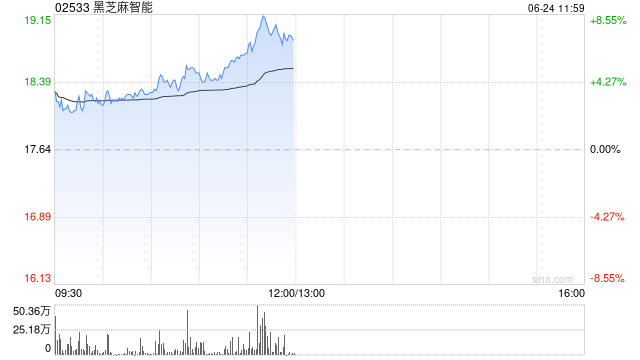 黑芝麻智能盘中涨超5% 拟回购公司股票最高总价1亿元  第1张