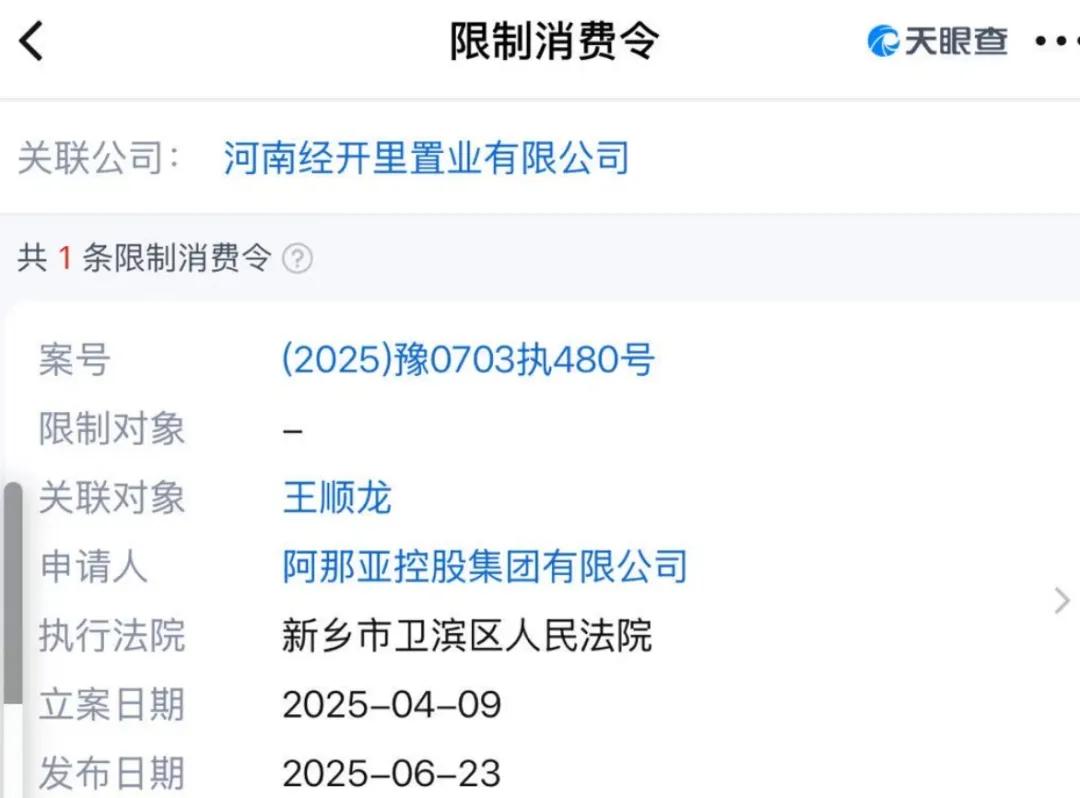 河南新乡“阿那亚分亚”没法打卡了！花了6万元仿建、又花了2万多元改建，仍被法院判决拆除  第9张