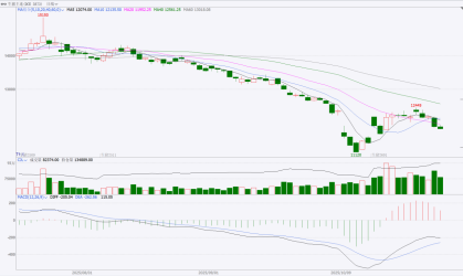 东海期货生猪月度策略报告|猪价超跌后低估值及政策稳定预期增强 第7张 东海期货生猪月度策略报告|猪价超跌后低估值及政策稳定预期增强 第7张