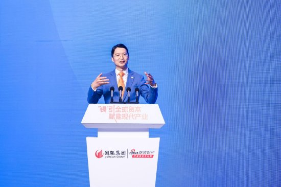 美国纽约大学教授马文彦：未来各国的主权基金可能是中国企业最好的合作伙伴  第1张