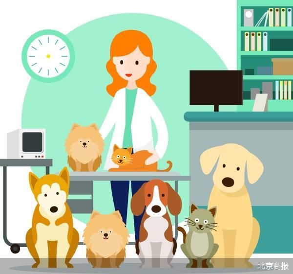 多家公司步入清算 宠物行业洗牌加速  第1张