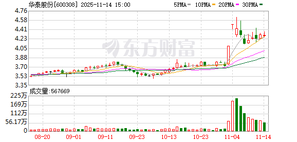 华泰股份:公司具备多项核心优势 第1张 华泰股份:公司具备多项核心优势 第1张