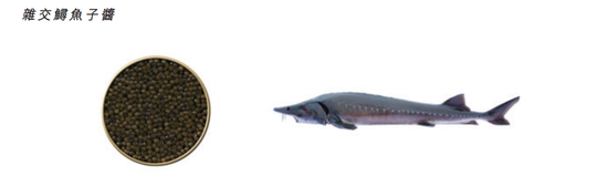 “美食界”的爱马仕、米其林餐桌上的鱼子酱要IPO了！  第5张