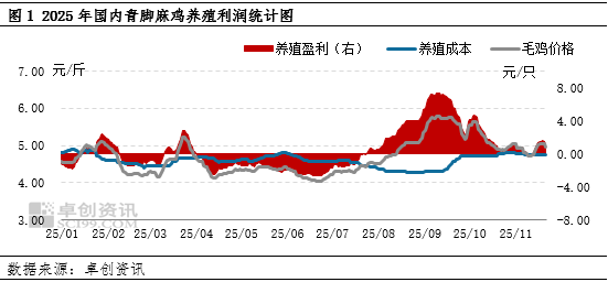毛鸡养殖盈利收窄，年内仅维持微利  第2张