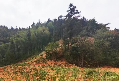 黄金ESG | 矿区与社区：责任，不止于开采  第9张