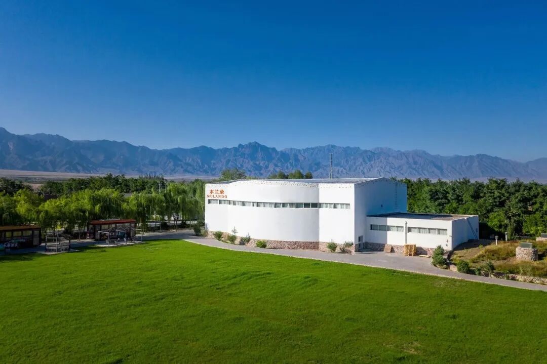 两周爆卖10万瓶，木兰朵的葡萄酒爆款逻辑是什么？  第3张