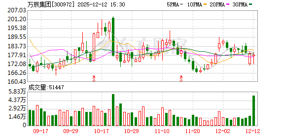 万辰集团12月12日大宗交易成交876.95万元  第1张