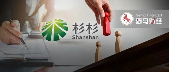 辽宁首富对手来了！马应龙母公司入局杉杉重整  第1张