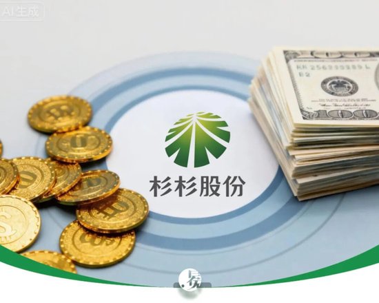 中国宝安火线入局，杉杉重整再临深渊  第1张