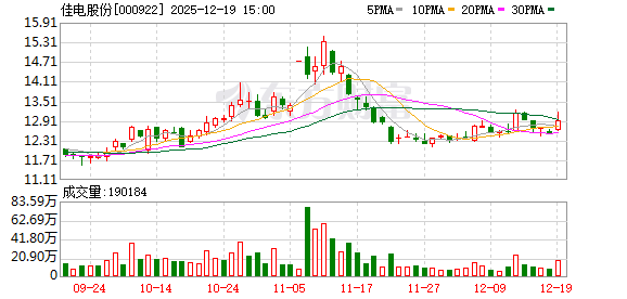 佳电股份召开永磁电机推介会：构建全链条智能运维生态 全力打造智能运维行业标杆  第1张
