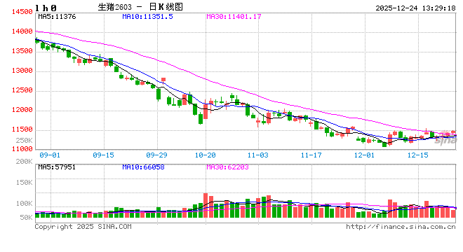 高瞻远“猪”：2025年猪价震荡下滑 2026年能否有起色？  第2张