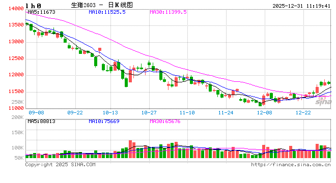 东海期货：2026年生猪投资策略报告  第2张