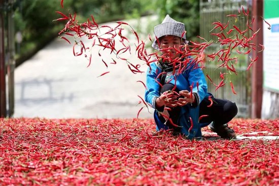 老干妈，出山救子，又赚翻了：2024年营收逼近54亿元，几乎追平历史峰值  第5张