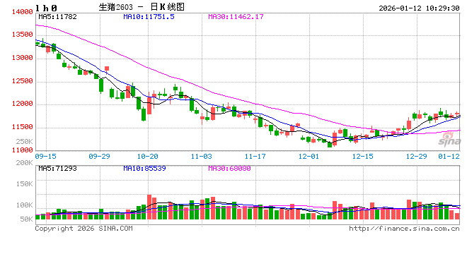 华泰期货养殖周报：疫情仍然散发，仔猪补栏偏好  第2张