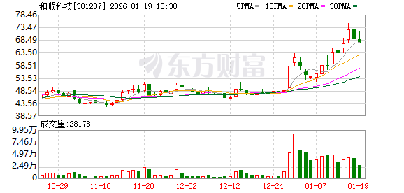 和顺科技：无逾期对外担保情况  第1张