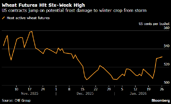 小麦期货触及六周高点 美国多地遭遇霜冻  第1张