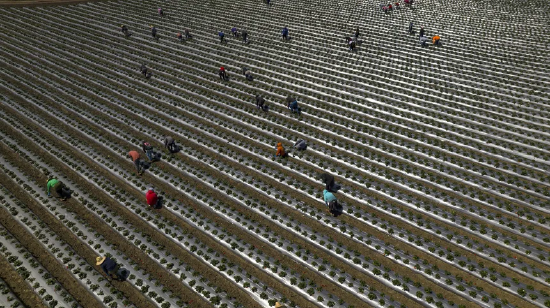 特朗普移民严打为何未能提振就业  第2张