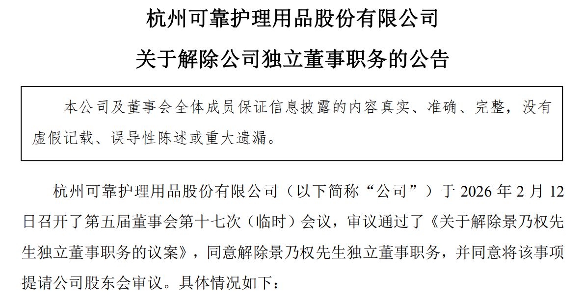罢免独董引内讧！可靠股份5∶2表决背后，牵出监管旧账与权力之争  第1张