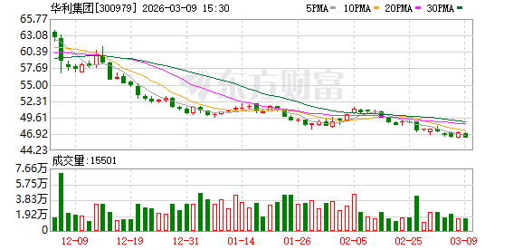 华利集团：2025年半年度现金分红金额占当期净利润比例约70%  第1张