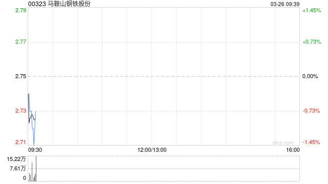 马鞍山钢铁股份续聘德勤华永为审计师  第1张