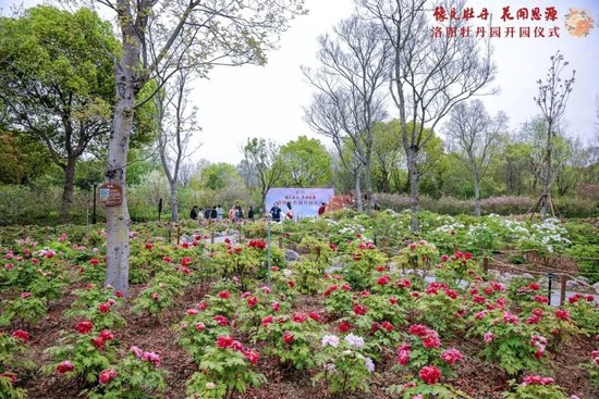 上海交通大学校友代表陈光明：校训精神已深入骨髓  第71张