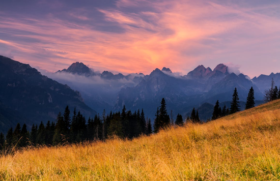 8家头部上市保司2025银保渠道大爆发？国寿趸交撑场、太保续期亮眼、人保寿期交增速领跑同业  第1张