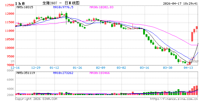 能繁母猪3904万头，猪市反弹逻辑与后市展望  第2张